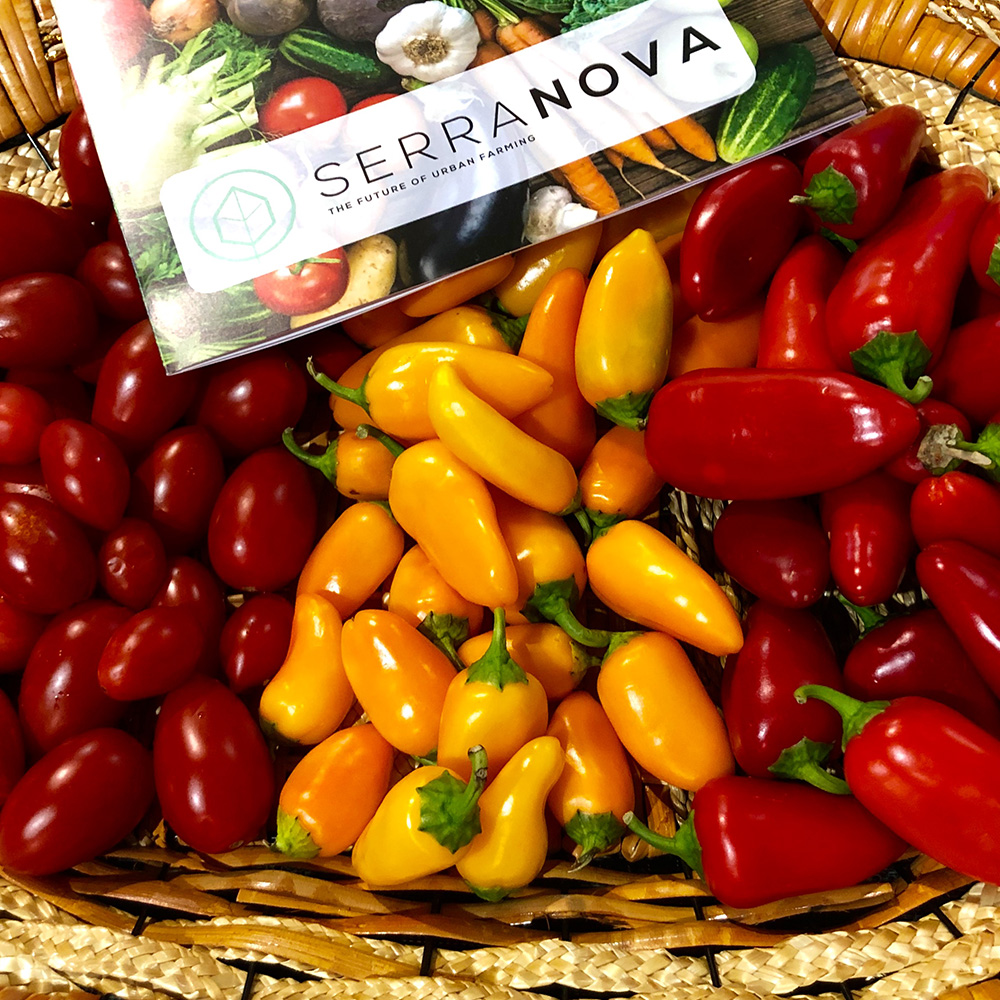 Serramaxi & Serramidi